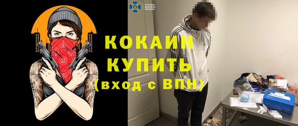 хмурый Алексин