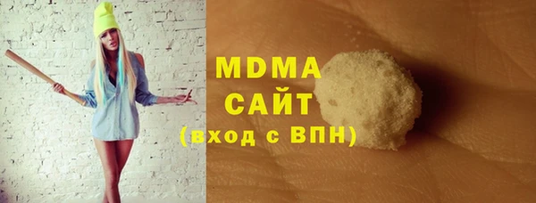 хмурый Алексин